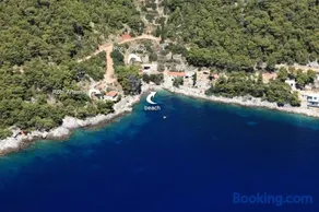 Robinson Apollon - Image 1
