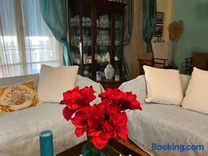 Amaryllis - Image 3