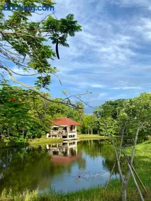 The Peaceful Pondside Home Mountain View - Image 1