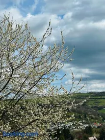 FeWo Wanderlustig - Image 2