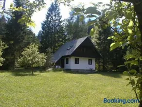 Apartment Lake Bohinj no. 5 - Image 1