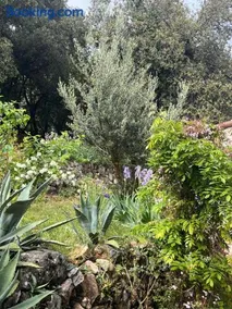 La Bastide des Crinieres Argentees - Image 4