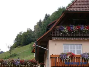 Ferienwohnung Eulennest - Image 2