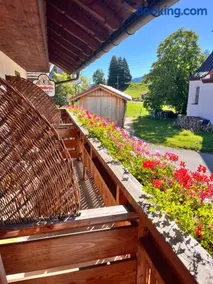 Goldiger Hirsch Pension mit Gemeinschaftsküche - Image 1