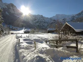 Bergdohle - Image 2