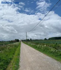 Ferme au cœur du marais Audomarois - Image 2