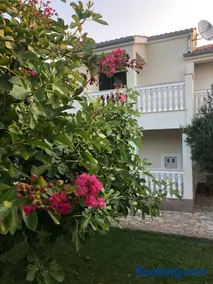 Villa Olive Grove Ferienhaus in Kroatien direkt am Meer nahe Zadar und Nin - Image 4
