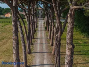 Villa Arnolfo - Image 4