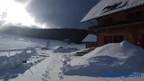 Holzhof - Image 4