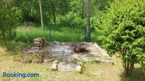 domki nad jeziorem, las, do 10 osób jezioro Wilczyńskie Budzisławskie - domek letniskowy osobno ogrodzony, ogrzewany mile widziane pieski, zwierzeta- wielkopolska, 62-550 Zygmuntowo gm Wilczyn - Image 2