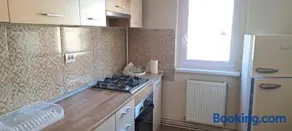 Apartament Pensiunea Grecu - Image 4