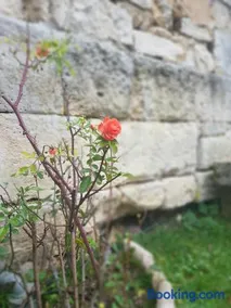 Cozy cottage & ideal closed garden - Image 3