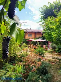 Le chalet caché, au pied des Chambarans - Image 1
