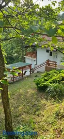 Šumska Kosmaj - Image 1
