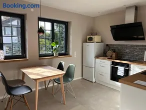Neubau im Loft-Stil mit großer Terrasse - Image 1