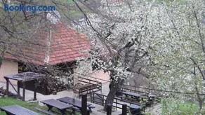 Holiday Home Vila Kikovi - Image 3
