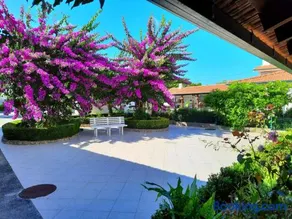 QM - Quinta da Morgadinha - Casa em Quinta Rural - Image 1