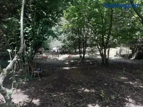 Cabana da Oliveira - Image 3