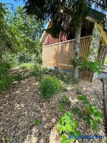 TajnyHauz Beehauz terapia na včelách - Image 5