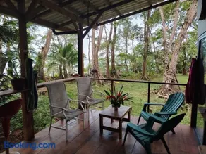 Gayadelphie jungle and sea house - Image 4