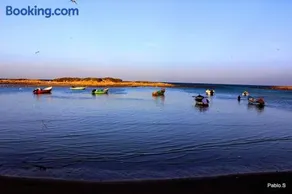 Dor on the beach - Image 2