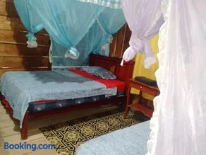 Lovely Amazon Rainforest Retreat - Image 3