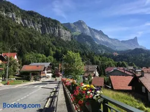 Fizhome Mt Blanc - Image 3