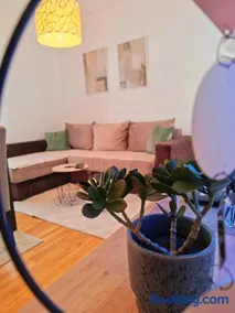 Apartman Stojanović Zlatibor - Image 1