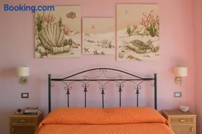 B&B Sunshine - Image 2