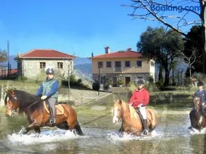 Quinta Do Fijo - Image 2