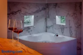Lisa Zemun Spa Apartment - Image 3