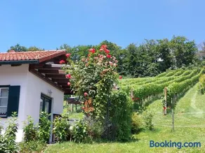 Wein & Wohnen MATZL - Ferienwohnung - Image 2