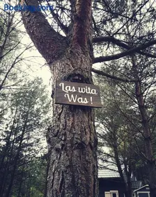 Domki Między Drzewami - Image 2