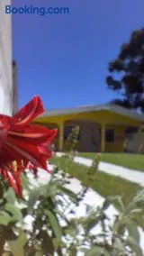 Flor da Primavera - Image 1