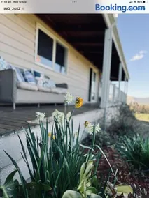 Yackandandah farm homestead - Image 3