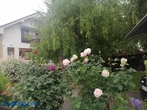 Apartmani Breza - Image 5
