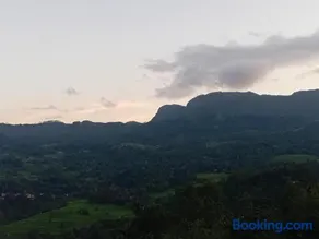 Kandy Golden Breeze - Image 4