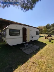 Retro Caravan auf Tierschutzhof am Wald - Image 2