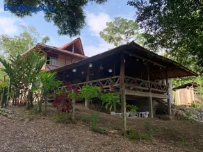 Playa Tortuga - Image 5