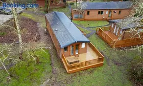 Cabin in the Woods - Image 5