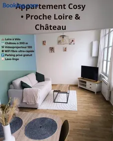 Le Nid du Château Sully-sur-Loire - Image 2