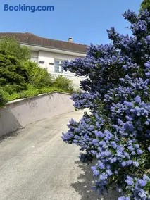 Villa grain de sel - Image 1