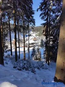 Historisches Aschberg Haisl Klingenthal, Terrasse, großer Garten 6 plus 2 Personen - Image 3