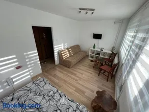 Mieszkanie Pod Sztolniami- Riese - Image 3
