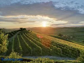 Holiday Home Cannubi in Barolo - Image 1