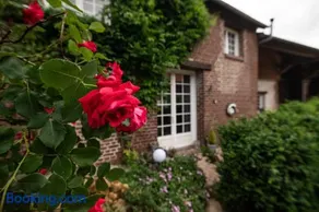 Gîte Cosy Green - Image 3