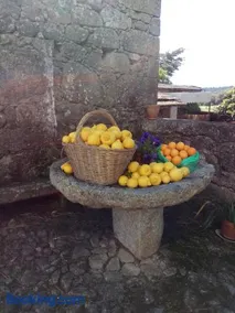 Casa do Balcão - Image 3
