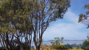 Lilacs Waterfront Villas & Cottages - Image 5
