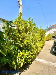 B&B Costa Azzurra - Image 4