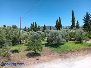 Anima - Image 3